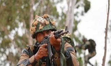 बीएसएफ के जवानों ने सांबा सेक्टर में सात आतंकवादियों को ढेर किया