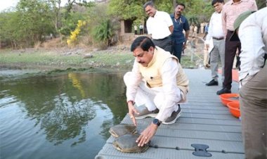 मुख्यमंत्री डॉ. यादव ने वन विहार राष्ट्रीय उद्यान के जल क्षेत्र में छोड़े कछुए