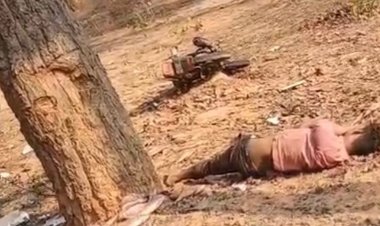 शहडोल में अनियंत्रित होकर पेड़ से टकराई बाइक:सीधी के मछली व्यापारी की मौत, ब्यौहारी के महादेवा तिराहे पर हादसा