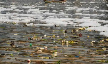 यमुना नदी का पानी दूषित, DPCC की रिपोर्ट