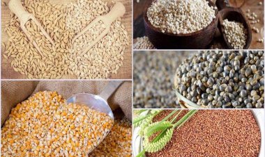 इंदौर की तरह अब उज्जैन और सागर में 15-15 दुकानों को पोषण केंद्र में परिवर्तित किया जाएगा