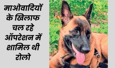मधुमक्खियों के हमले में सीआरपीएफ डॉग रोलो की मौत