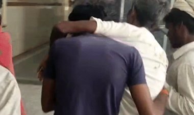 मुरैना के कैलारस में स्ट्रीट डॉग का आतंक:तीन गांवों के 21 से अधिक लोगों को काटा; हाथ-पैर से मांस नोचा, दो गंभीर