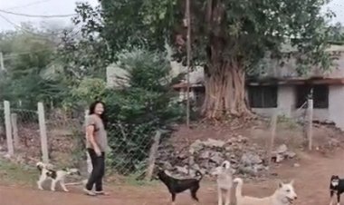 कारोबारी की बेटी ने मां-बेटे को 20-25 कुत्तों से कटवाया