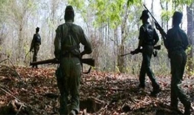 भारी बारिश के बीच जवानों ने दिखाई हिम्मत, माओवादियों की तलाश जारी