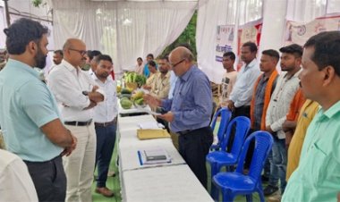सुशासन तिहार 2025: सचिव अन्बलगन पी ने जशपुर जिले के पुराइनबंध में आयोजित समाधान शिविर का किया आकस्मिक निरीक्षण