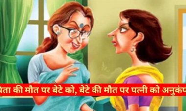 छत्तीसगढ़ HC का आदेश :  ‘बहू को वेतन से सास का भरण-पोषण करने के लिए बाध्य नहीं किया जा सकता’