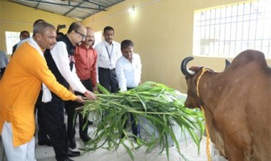 राज्यपाल रमेन डेका ने गौशाला का किया लोकार्पण