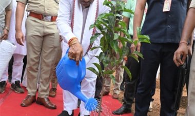 मुख्यमंत्री ने बालोद में लगाया आम का पौधा