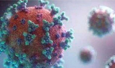 महाराष्ट्र में कोविड के 84 नये मामले