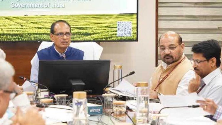 कृषि मंत्री चौहान ने ली समीक्षा बैठक, बोले-बार्डर जवान तो किसान और वैज्ञानिक भी तैयार, भरा है भंडारा