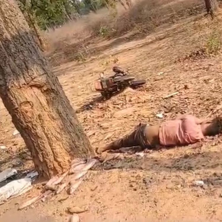 शहडोल में अनियंत्रित होकर पेड़ से टकराई बाइक:सीधी के मछली व्यापारी की मौत, ब्यौहारी के महादेवा तिराहे पर हादसा