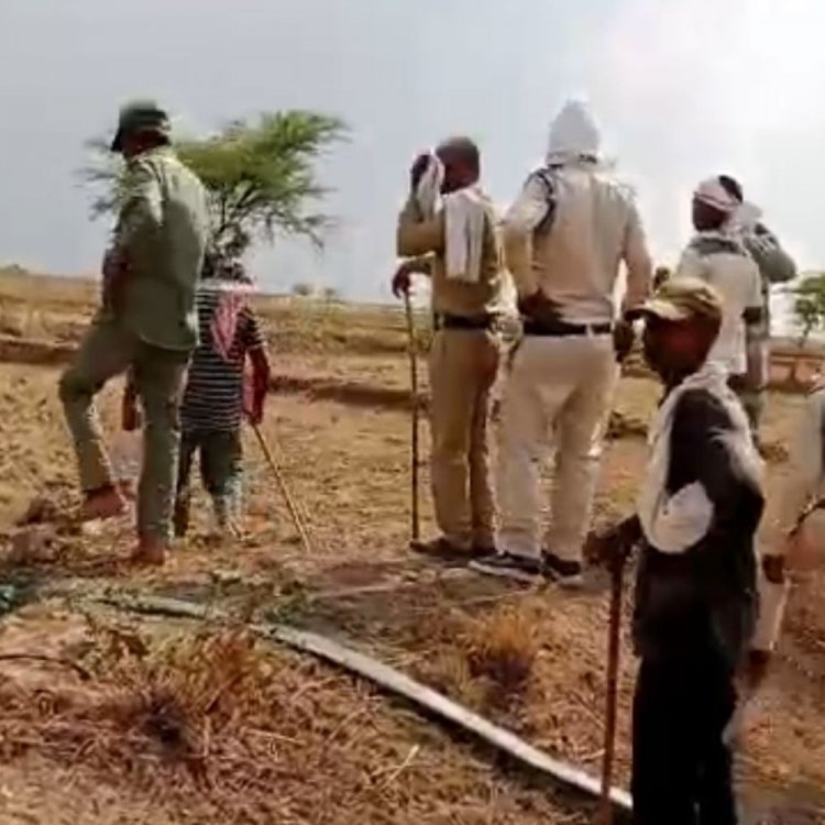 बांधवगढ़ टाइगर रिजर्व में 150 हेक्टेयर जंगल पर अवैध कब्जा:झोपड़ियां बनाकर की जा रही खेती, 50 सदस्यीय टीम ने किया चिह्नित, जल्द हटाया जाएगा