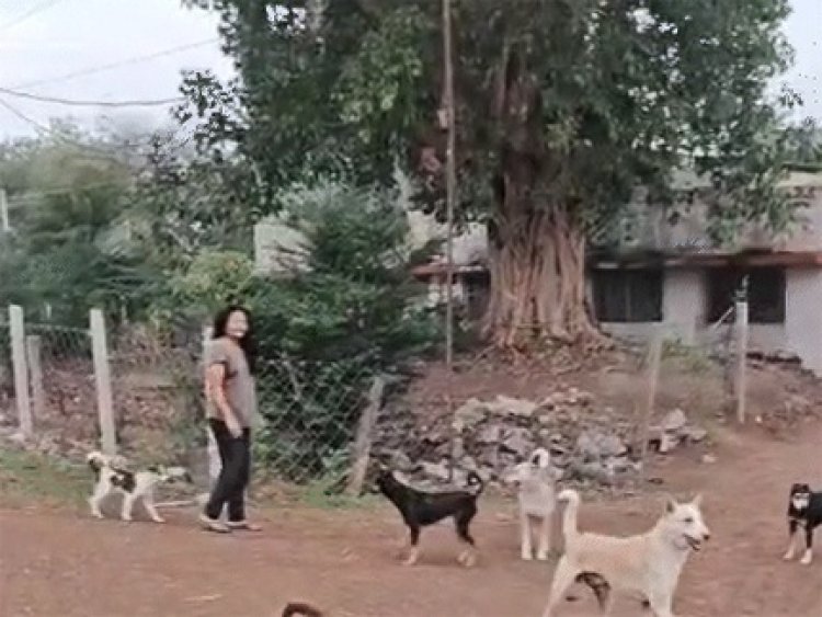 कारोबारी की बेटी ने मां-बेटे को 20-25 कुत्तों से कटवाया