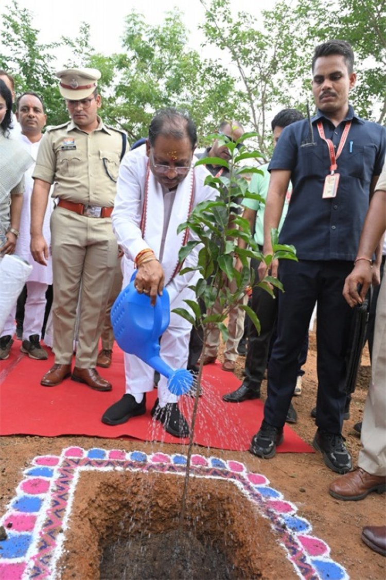 मुख्यमंत्री ने बालोद में लगाया आम का पौधा