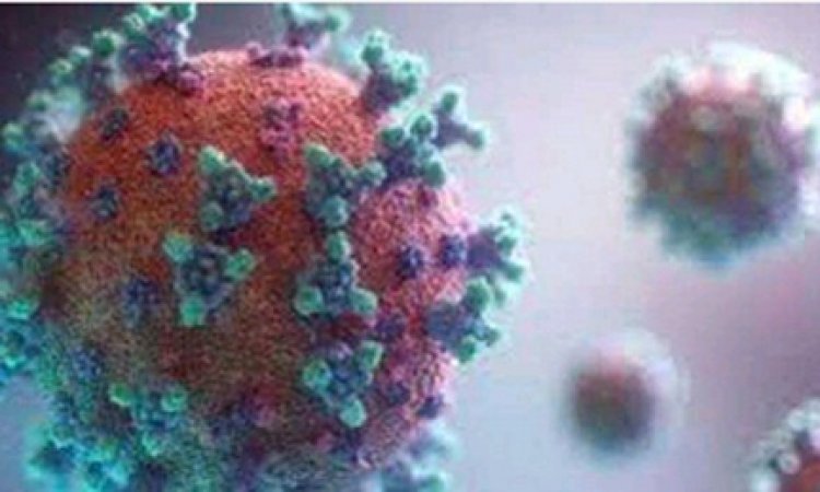 महाराष्ट्र में कोविड के 84 नये मामले