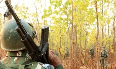 सुरक्षा बलों की टुकड़ियां भी मौजूद, सीमाओं पर निगरानी