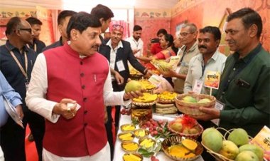 मुख्यमंत्री डॉ. यादव ने बॉम्बे ग्रीन और मणि प्रभा किस्म का स्वाद चख कर "आम महोत्सव" का किया शुभारंभ