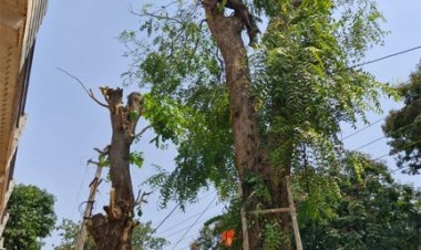 हाइटेंशन तार की चपेट में आया बुजुर्ग, मौके पर हुई मौत…