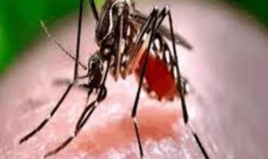बस्तर संभाग में मलेरिया प्रकरणों में 72% की गिरावट: जनसहयोग से मिली बड़ी सफलता