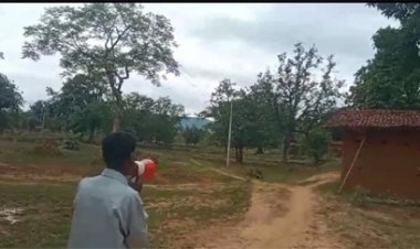 जंगली हाथी की खबर से इलाके में मचा हड़कंप