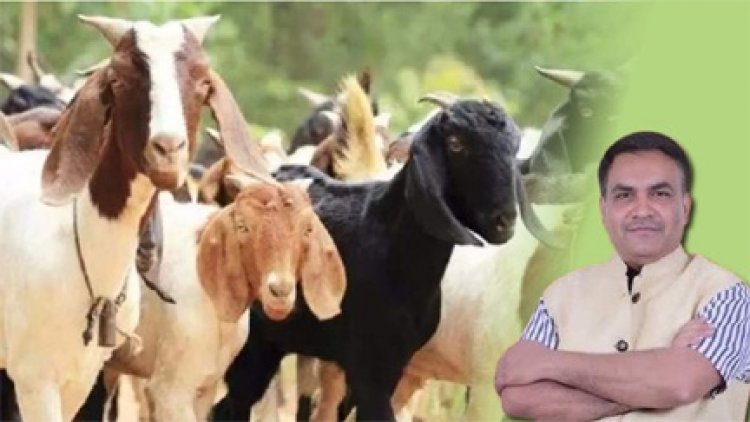 वक्फ बोर्ड अध्यक्ष सलीम राज ने बकरीद से पहले मुस्लिम समुदाय से की यह अपील…