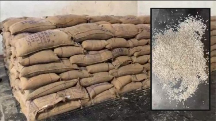 राशन दुकानों में खराब चावल की हो रही आपूर्ति, संचालक लौटाने को मजबूर