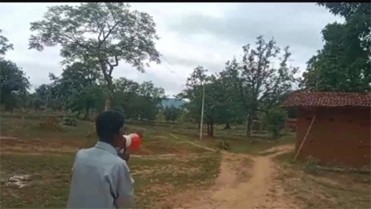 जंगली हाथी की खबर से इलाके में मचा हड़कंप