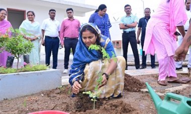 मंत्री लक्ष्मी राजवाड़े ने 'मोर गोठ ल सुनगा, हर घर मुनगा अभियान' का किया शुभारंभ