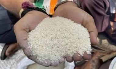 एकमुश्त चावल वितरण की समयावधि 31 जुलाई 2025 तक बढ़ाई गई