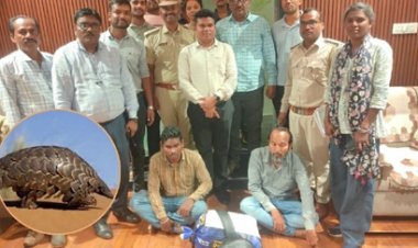 बीजापुर में पैंगोलिन शल्क तस्कर गिरफ्तार