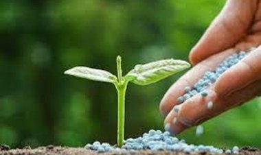 जिले में पर्याप्त उर्वरकों का भण्डारण- वितरण कार्य प्रगति पर