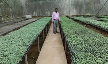 मिनी प्लग टाइप सीडलिंग यूनिट: किसानों के लिए गुणवत्तायुक्त पौधों का नया समाधान