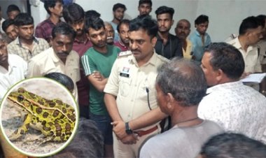 कुंए में मरा मेंढक निकालने उतरे पिता-पुत्र की मौत