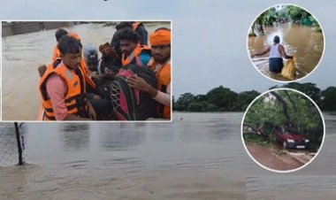 मूसलाधार बारिश से शिवनाथ नदी उफान पर