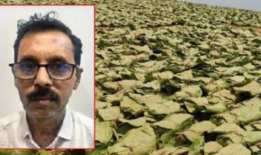 तेंदू पत्ता घोटाले में एक और प्रबंधक गिरफ्तार, EOW ने 12 को भेजा जेल