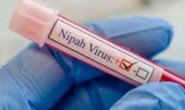 केरल में निपाह के 675 मामले सामने आये