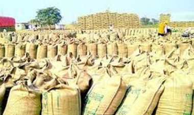 धान खरीदी का अनुमान 70 से बढ़ाकर 78 लाख मीट्रिक टन: केंद्र सरकार का बड़ा निर्णय, प्रदेश के किसानों को मिलेगा लाभ