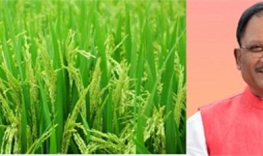 धान खरीदी का अनुमान 70 से बढ़ाकर 78 लाख मीट्रिक टन: केंद्र सरकार का बड़ा निर्णय, प्रदेश के किसानों को मिलेगा लाभ