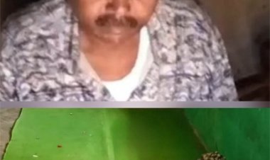 स्कूल में शराब पी रहे प्रधान पाठक का विडियाें हुआ वायरल