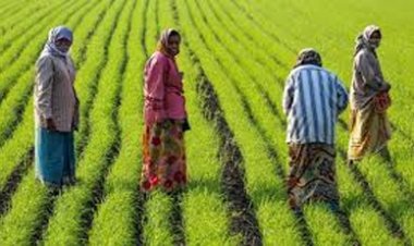 प्रदेश में खेती-किसानी का कार्य तेजी के साथ जारी