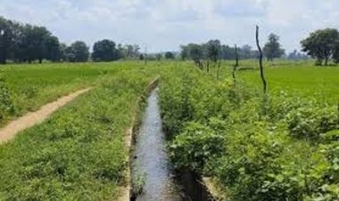 पीपरछेड़ी जलाशय योजना के लिए 84.94 करोड़ रुपये स्वीकृत