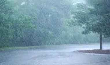 प्रदेश में अब तक 572.5 मि.मी. औसत वर्षा दर्ज