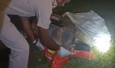 रायपुर में गर्लफ्रेंड के लिए दोस्त को चाकू से काट-डाला