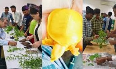 वन विभाग की नई पहल: युवाओं के लिए