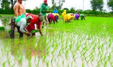 प्रदेश में खेती-किसानी का कार्य जोरो पर