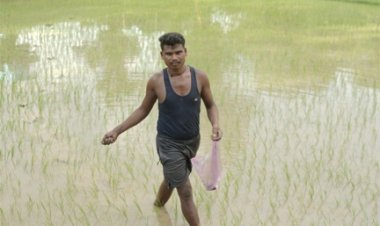 समय पर मिले खाद-बीज से युवा किसान बृजपाल की खेती हुई आसान