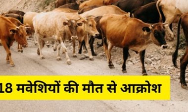 रायपुर में 18 मवेशियों की मौत, ग्रामीणों में आक्रोश