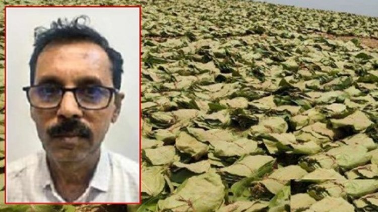 तेंदू पत्ता घोटाले में एक और प्रबंधक गिरफ्तार, EOW ने 12 को भेजा जेल