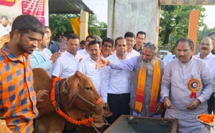 75 आदिवासी महिला किसानों को दी गई दुधारू गायें